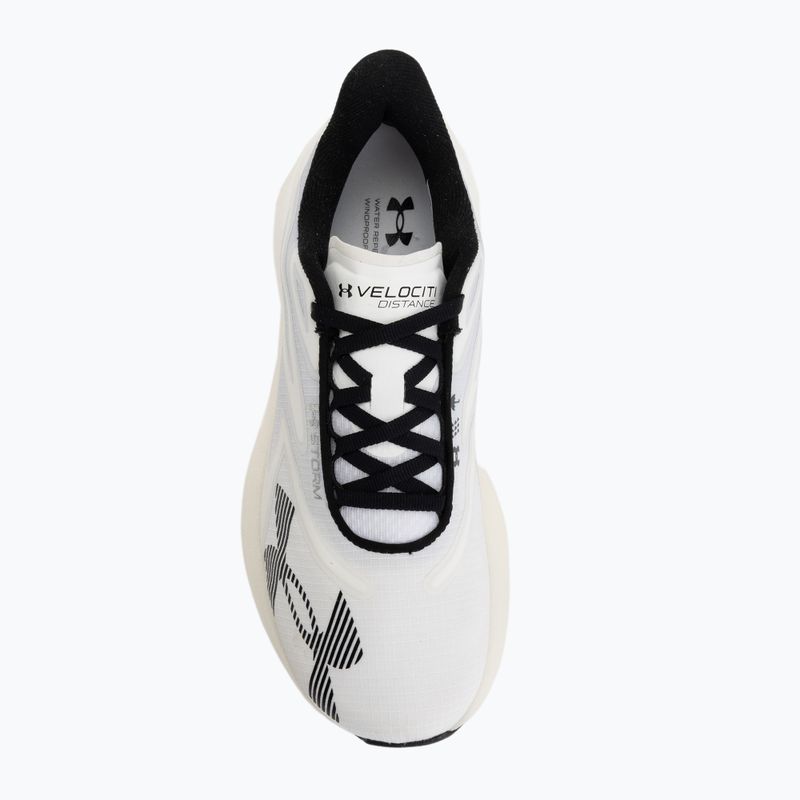 Bėgimo batai Under Armour Velociti Distance Storm white/white/black 5