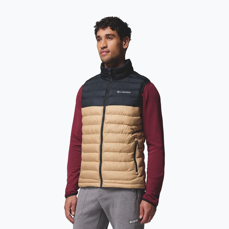 Vyriška liemenė Columbia Powder Lite II canoe/black 3