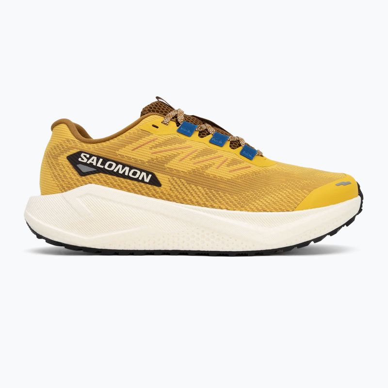Vyriški bėgimo bateliai Salomon Aero Blaze 3 GRVL spicy mustard/vanilla ice/nautical blue 2