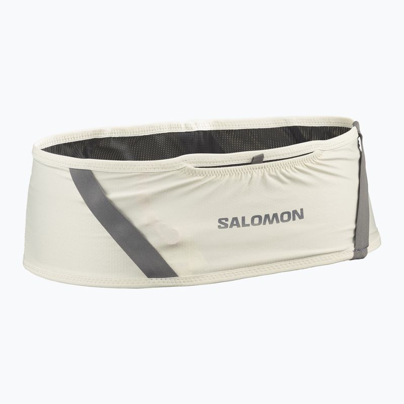 Bėgimo diržas Salomon Pulse icicle / castlerock 2