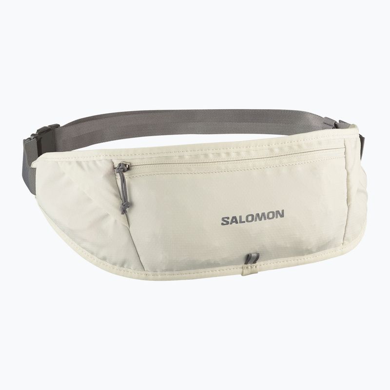 Bėgimo diržas Salomon Pulse Sling icicle / castlerock