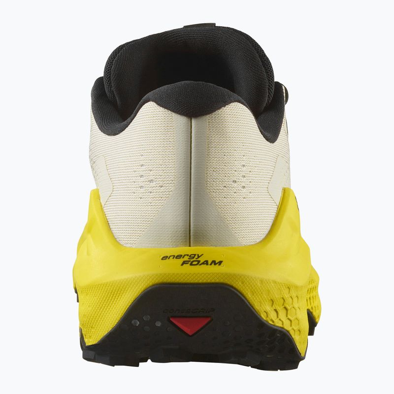 Vyriški bėgimo bateliai Salomon Ultra Glide 3 almond milk/incaberry/black 4