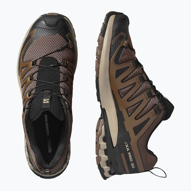 Vyriški bėgimo bateliai Salomon XA Pro 3D V9 falcon/desert tan/black 6