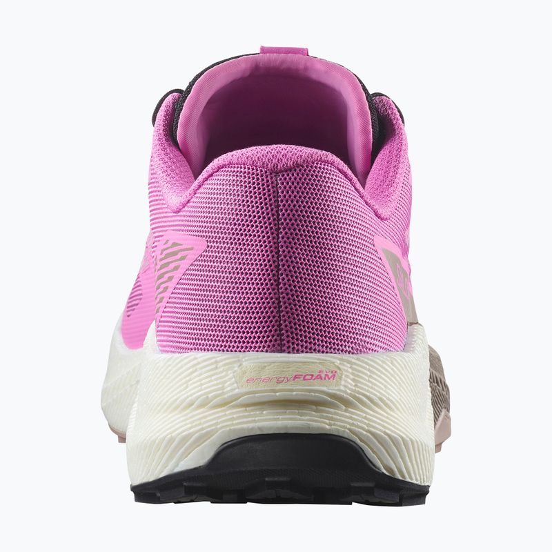 Moteriški bėgimo bateliai Salomon Pulsar cyclamen/vanilla ice/etherea 11