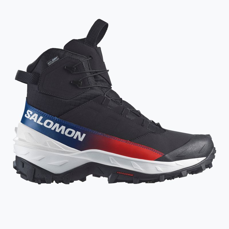 Vyriški žygio batai Salomon Crosstrak Powder WP Equipe black/black