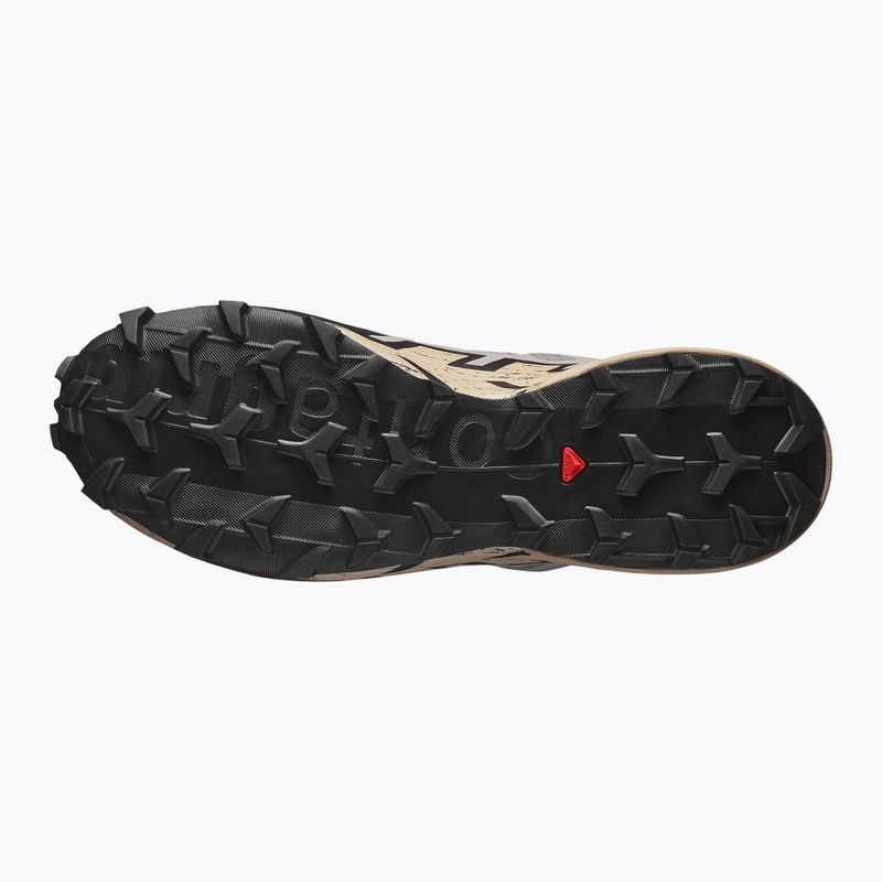 Vyriški bėgimo bateliai Salomon Speedcross 6 GTX gull/white pepper/black 5