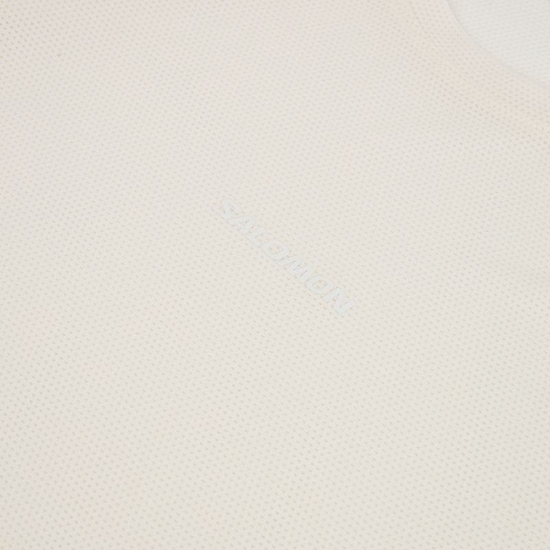 Vyriški bėgimo marškinėliai ilgomis rankovėmis Salomon Shakeout Core whisper white 3