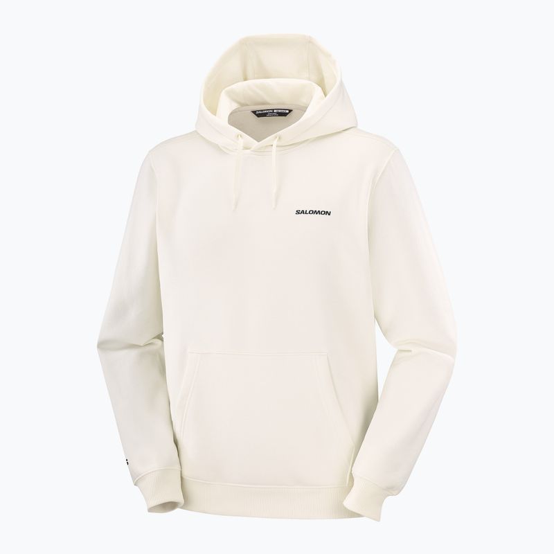Vyriškas džemperis Salomon Chest Logo Hoodie whisper white 5