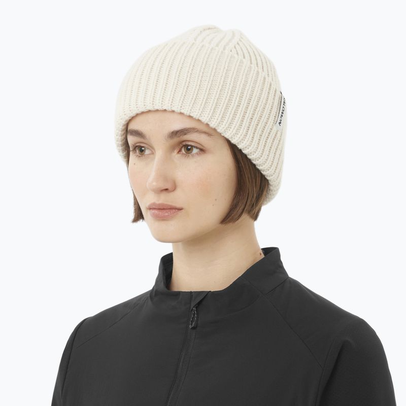 Žieminė kepurė Salomon Snowbird whisper white 2