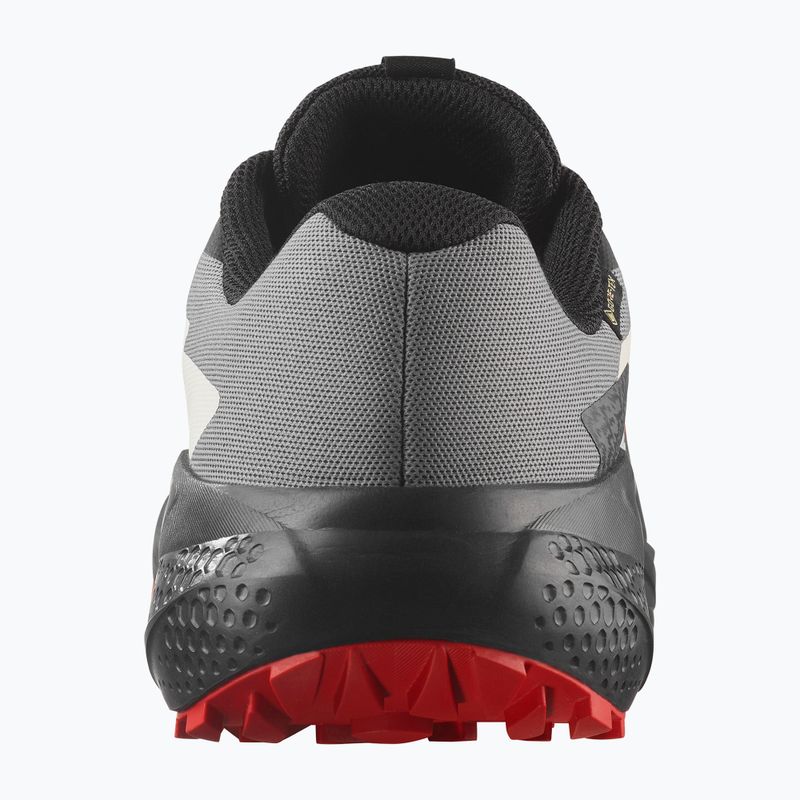 Vyriški bėgimo bateliai Salomon Alphaglide GTX flame scarlet/black/pewter 10