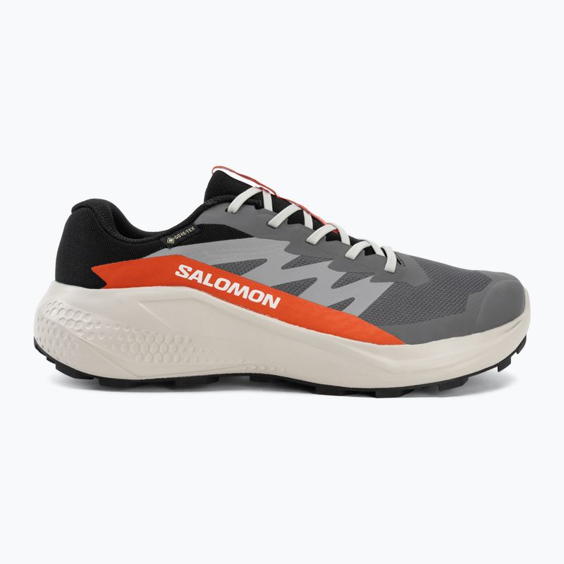 Vyriški bėgimo batai Salomon Alphaglide GTX castlerock/lunar rock 2