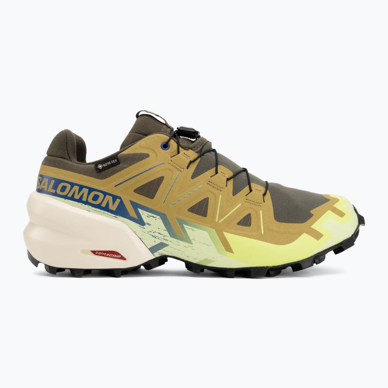 Vyriški bėgimo batai Salomon Speedcross 6 GTX grape leaf/aspargus green 2