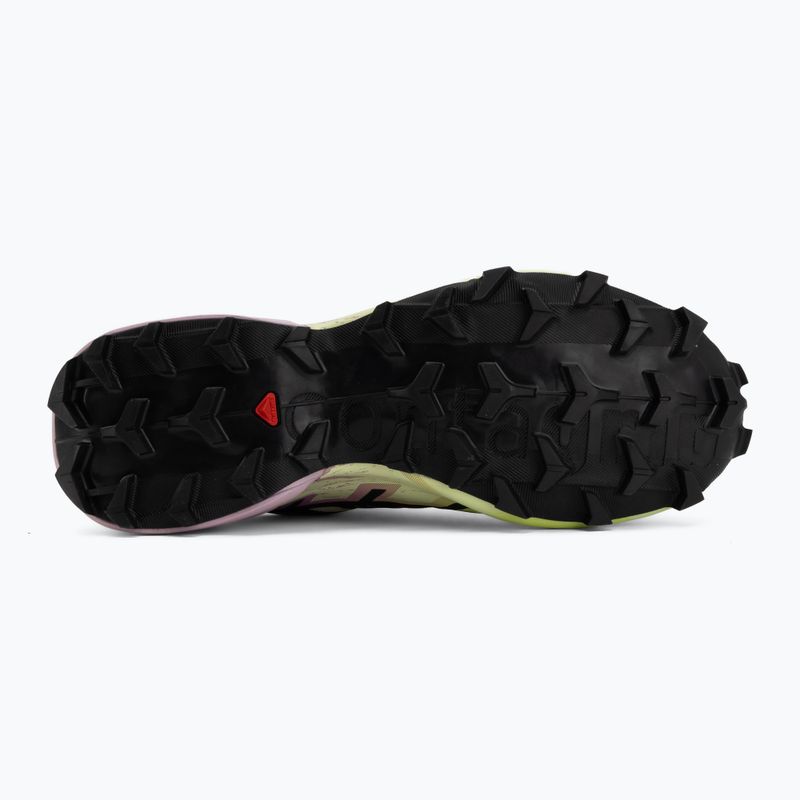 Moteriški bėgimo batai Salomon Speedcross 6 GTX bog/dawn pink 4