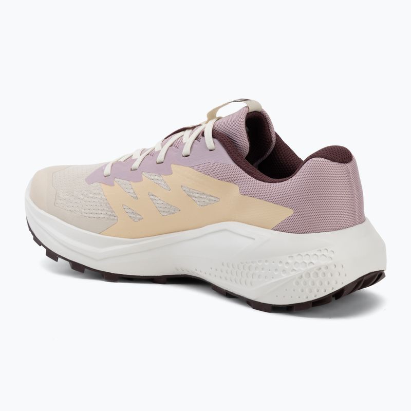 Moteriški bėgimo batai Salomon Alphaglide tapioca/dawn pink 3