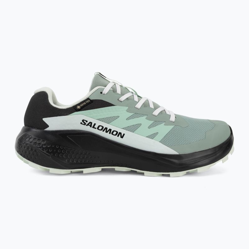 Moteriški bėgimo batai Salomon Alphaglide GTX green milieu/asphalt 2