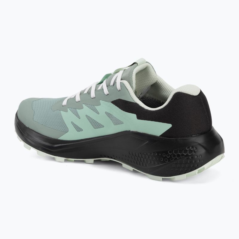 Moteriški bėgimo batai Salomon Alphaglide GTX green milieu/asphalt 3