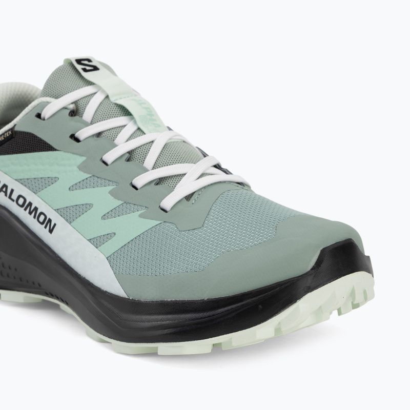 Moteriški bėgimo batai Salomon Alphaglide GTX green milieu/asphalt 7