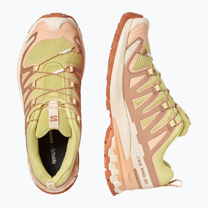 Moteriški bėgimo batai Salomon XA Pro 3D V9 endive/burro/almond cream 4