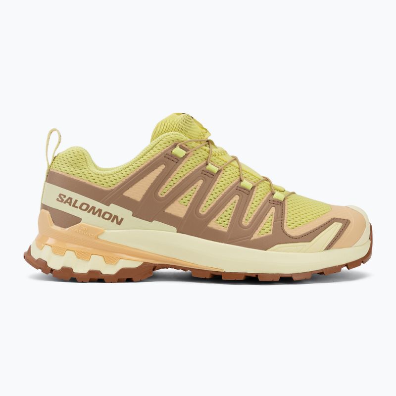 Moteriški bėgimo batai Salomon XA Pro 3D V9 endive/burro/almond cream 2