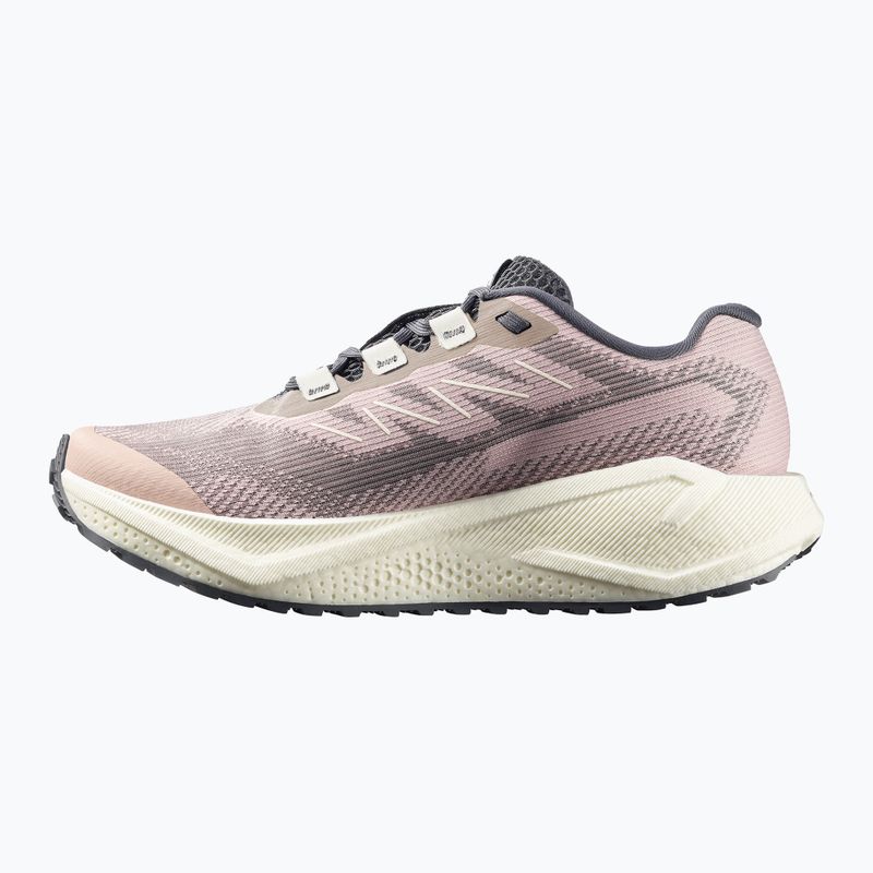 Moteriški bėgimo batai Salomon Aero Blaze 3 GRVL shadow gray/vanilla ice/9iron 3