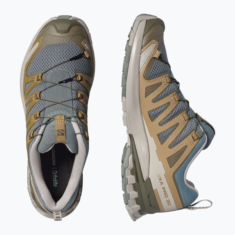 Vyriški bėgimo batai Salomon XA Pro 3D V9 sedona sage/plantation/paloma 5