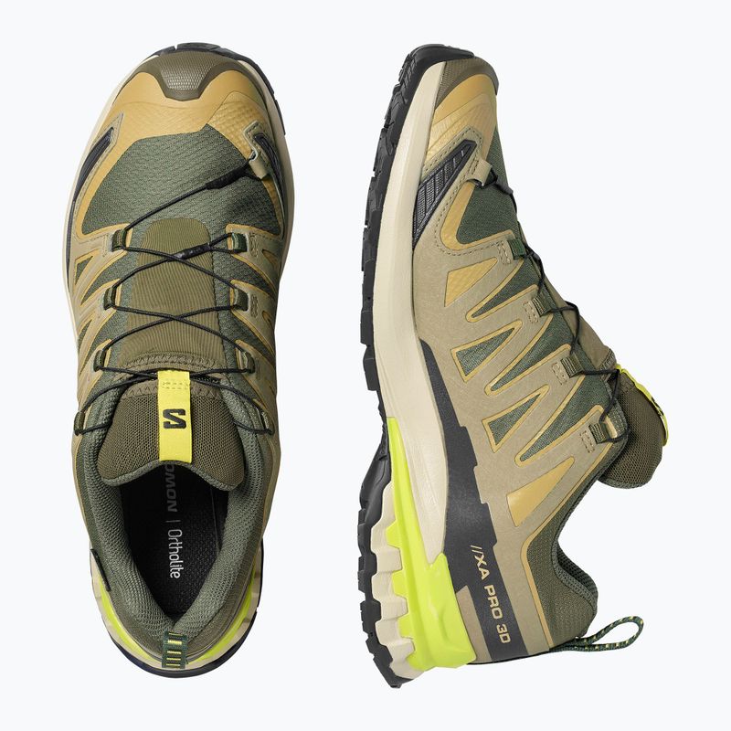 Vyriški bėgimo batai Salomon XA Pro 3D V9 GTX grape leaf/aloe 3