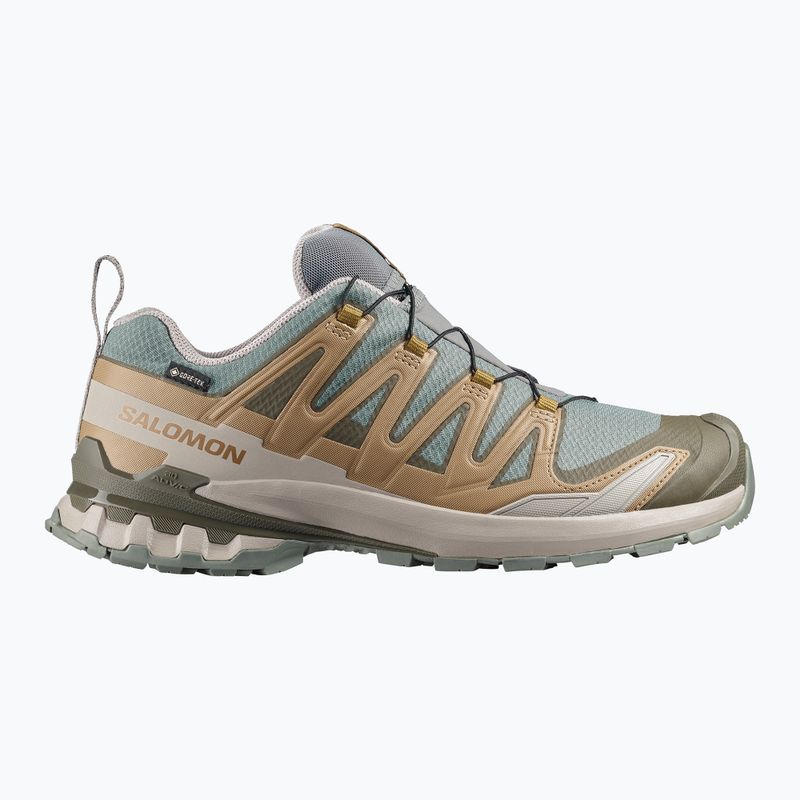 Vyriški bėgimo batai Salomon XA Pro 3D V9 GTX sedona sage/brilliant olive