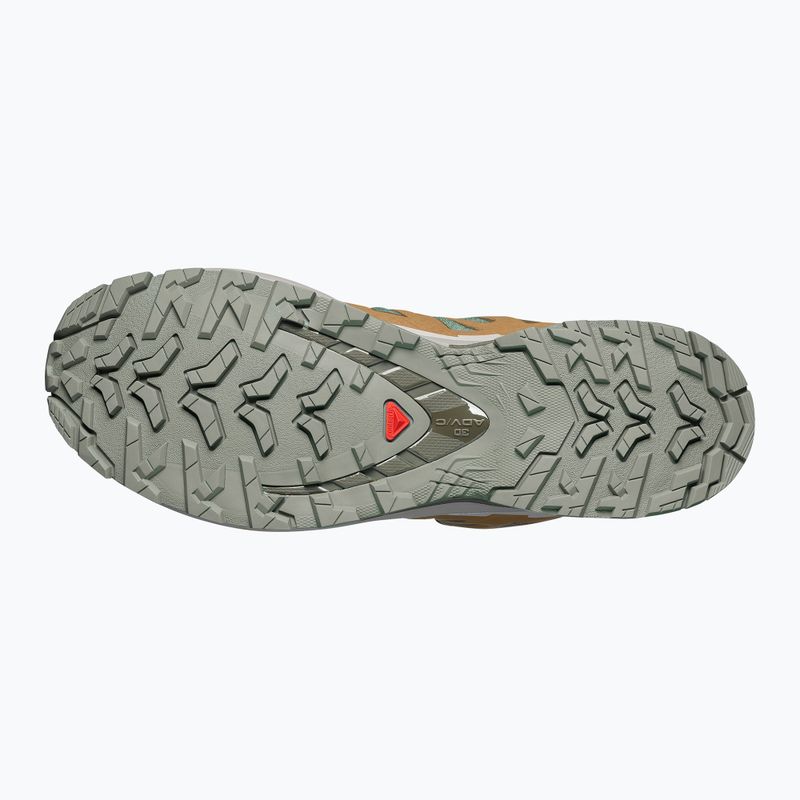 Vyriški bėgimo batai Salomon XA Pro 3D V9 GTX sedona sage/brilliant olive 4