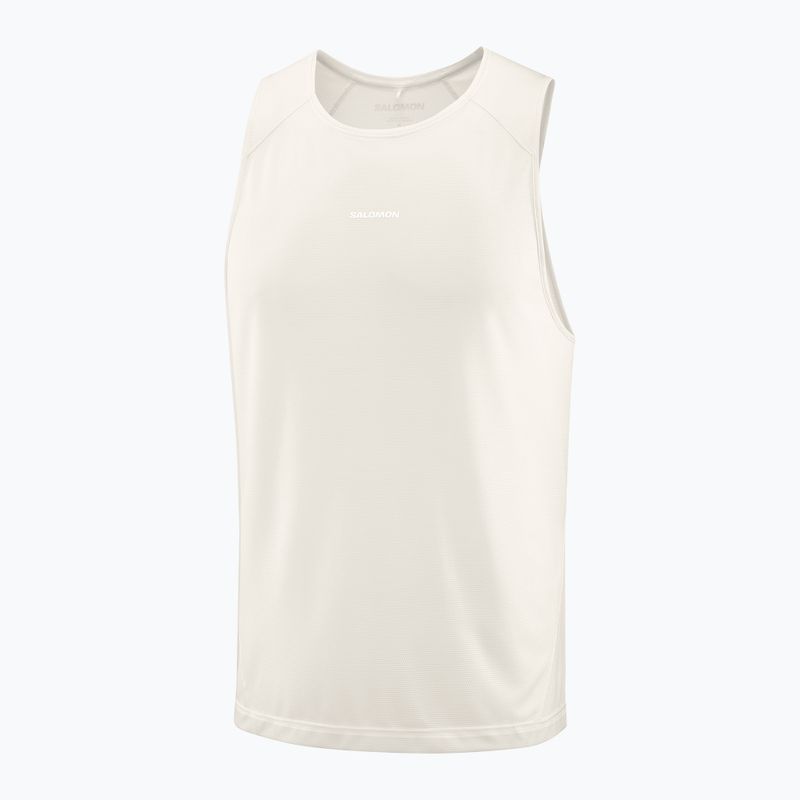 Vyriški marškinėliai Salomon Shakeout Core whisper white 3