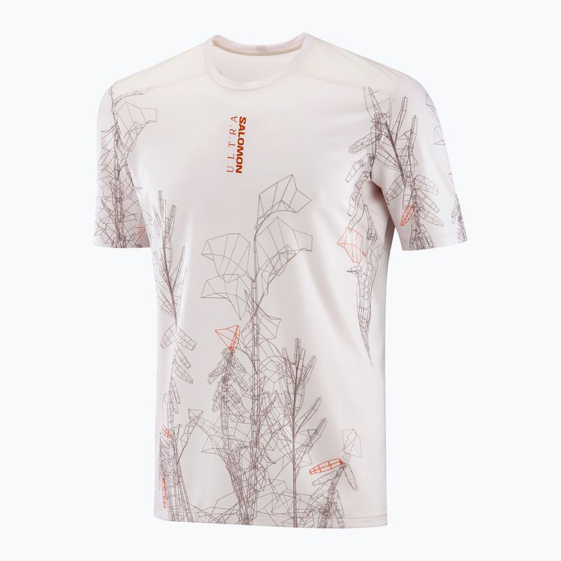 Vyriški bėgimo marškinėliai Salomon S/Lab Ultra Tee Aop lilac ash 4