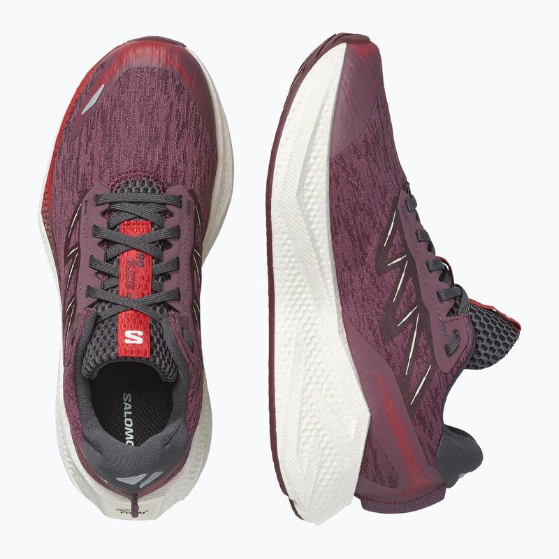 Moteriški bėgimo batai Salomon Aero Glide 4 huckleberry/vanilla ice 3