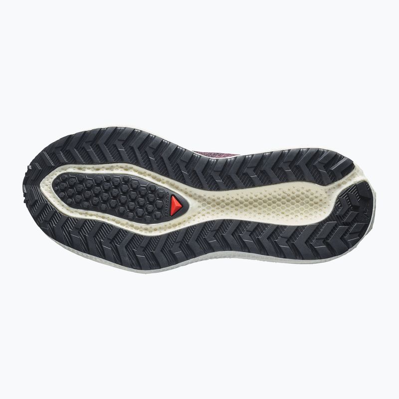 Moteriški bėgimo batai Salomon Aero Glide 4 GRVL huckleberry/black 4