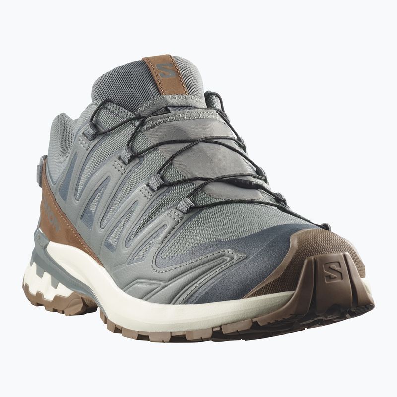 Vyriški bėgimo batai Salomon XA Pro 3D V9 GTX Lifelong sedona sage/coyote brown 2