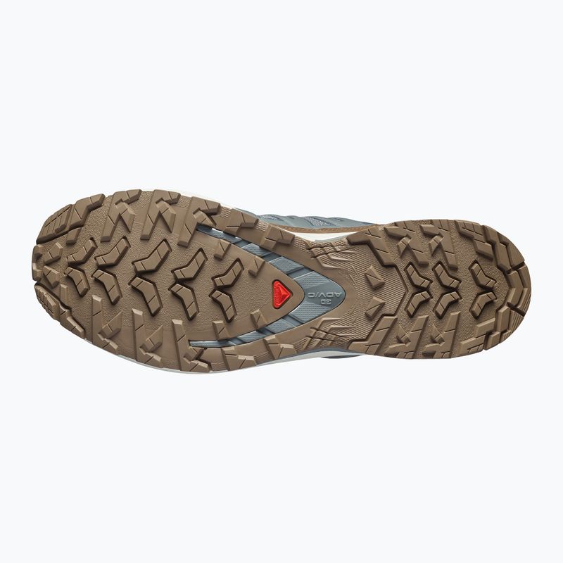Vyriški bėgimo batai Salomon XA Pro 3D V9 GTX Lifelong sedona sage/coyote brown 4