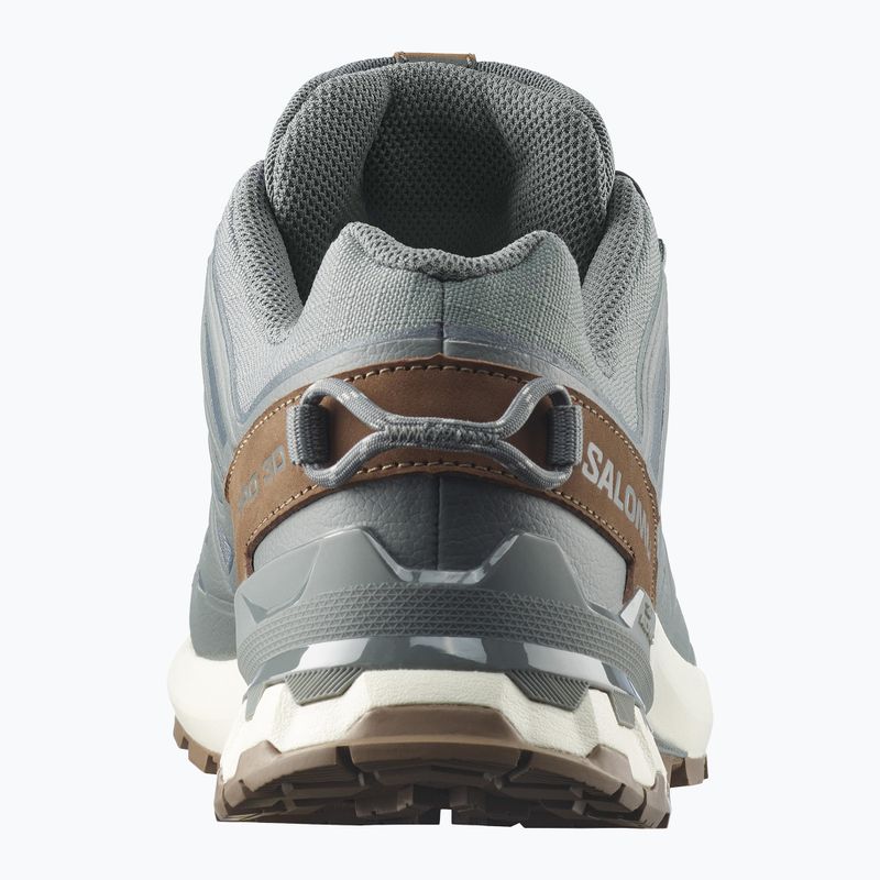 Vyriški bėgimo batai Salomon XA Pro 3D V9 GTX Lifelong sedona sage/coyote brown 5