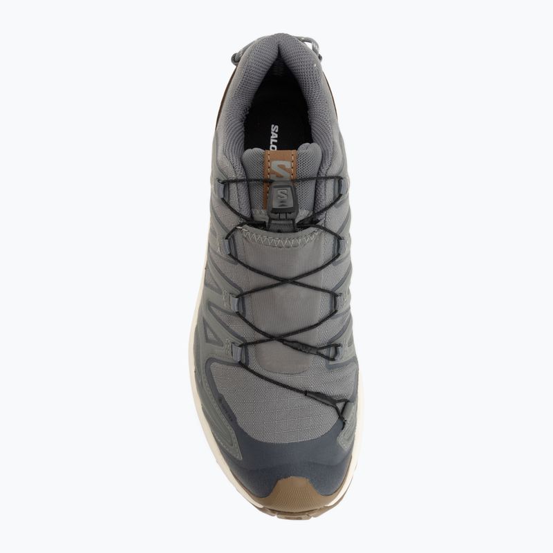 Vyriški bėgimo batai Salomon XA Pro 3D V9 GTX Lifelong sedona sage/coyote brown 5