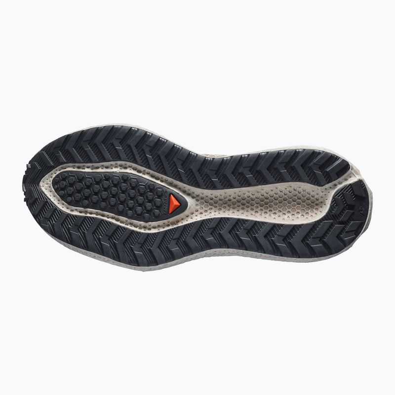 Moteriški bėgimo batai Salomon Aero Glide 4 GRVL tapioca/desert tan 4