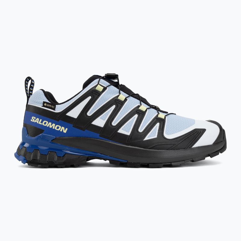 Vyriški bėgimo batai Salomon XA Pro 3D V9 GTX Icon black/brunnera blue 2