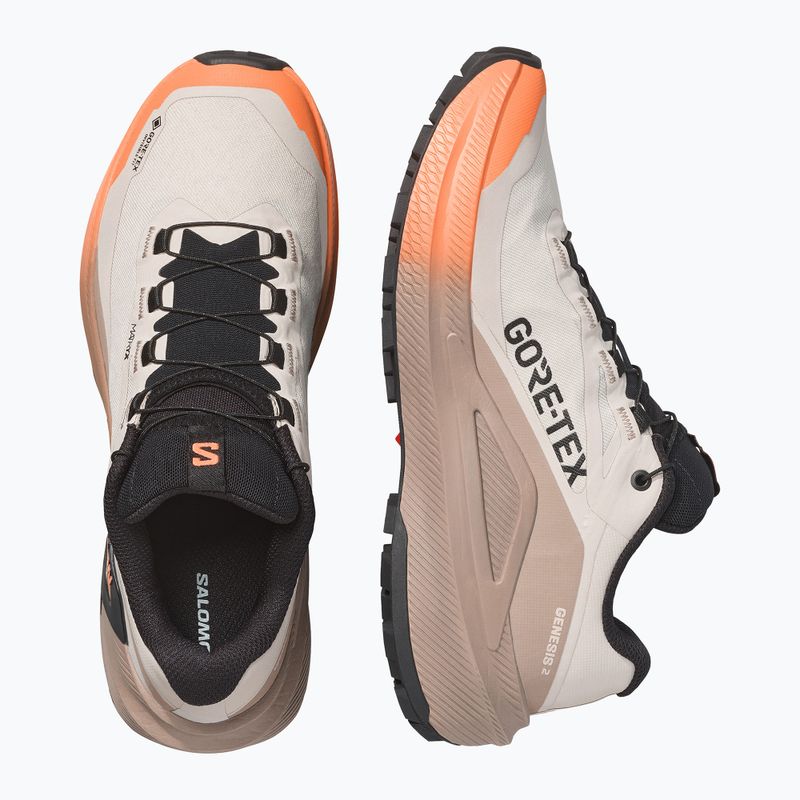 Moteriški bėgimo batai Salomon Genesis 2 GTX rainy day/desert tan 3