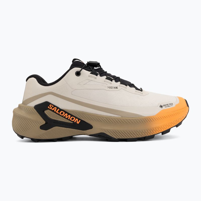 Moteriški bėgimo batai Salomon Genesis 2 GTX rainy day/desert tan 2