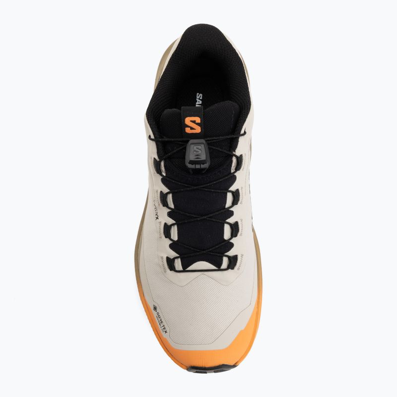 Moteriški bėgimo batai Salomon Genesis 2 GTX rainy day/desert tan 5