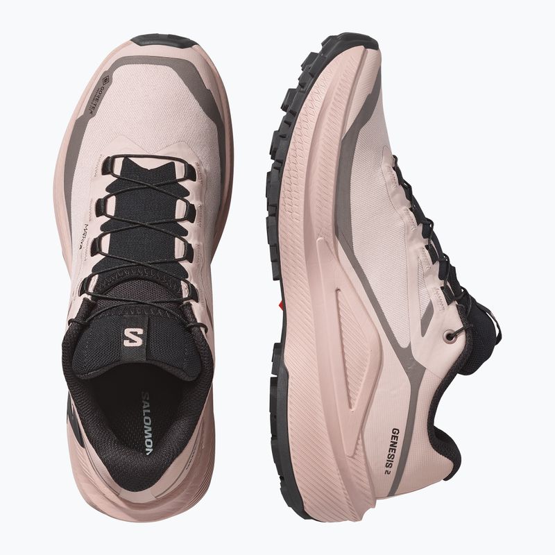Moteriški bėgimo batai Salomon Genesis 2 GTX shadow gray/iron 3