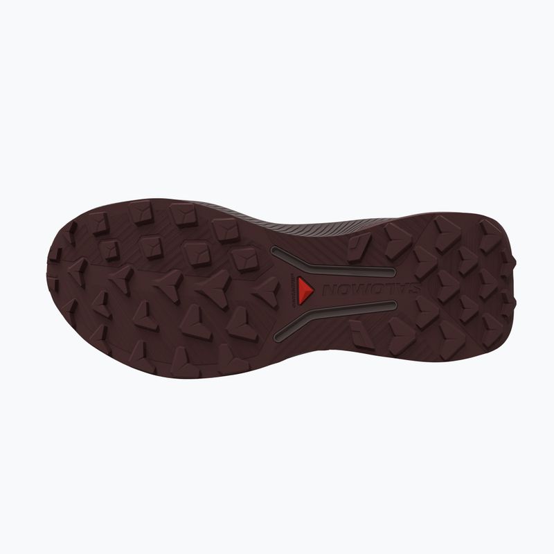 Vyriški bėgimo batai Salomon Genesis 2 vanilla ice/iron 3