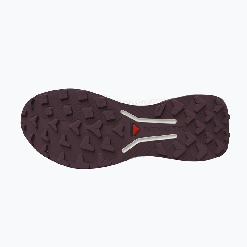 Moteriški bėgimo batai Salomon Genesis 2 vanilla ice/huckleberry 4