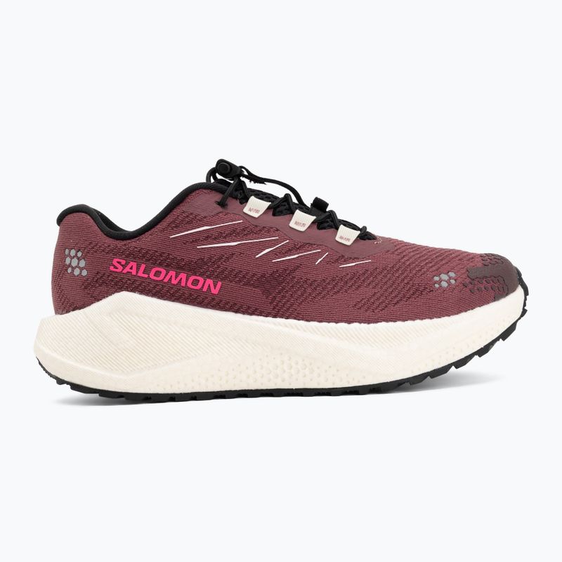 Moteriški bėgimo batai Salomon Aero Blaze 4 GRVL nocturne/vanilla ice 2