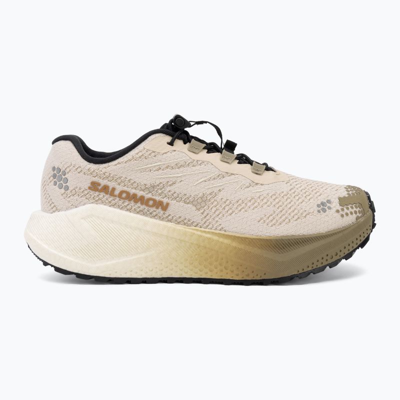 Moteriški bėgimo batai Salomon Aero Blaze 4 GRVL tapioca/vanilla ice 2