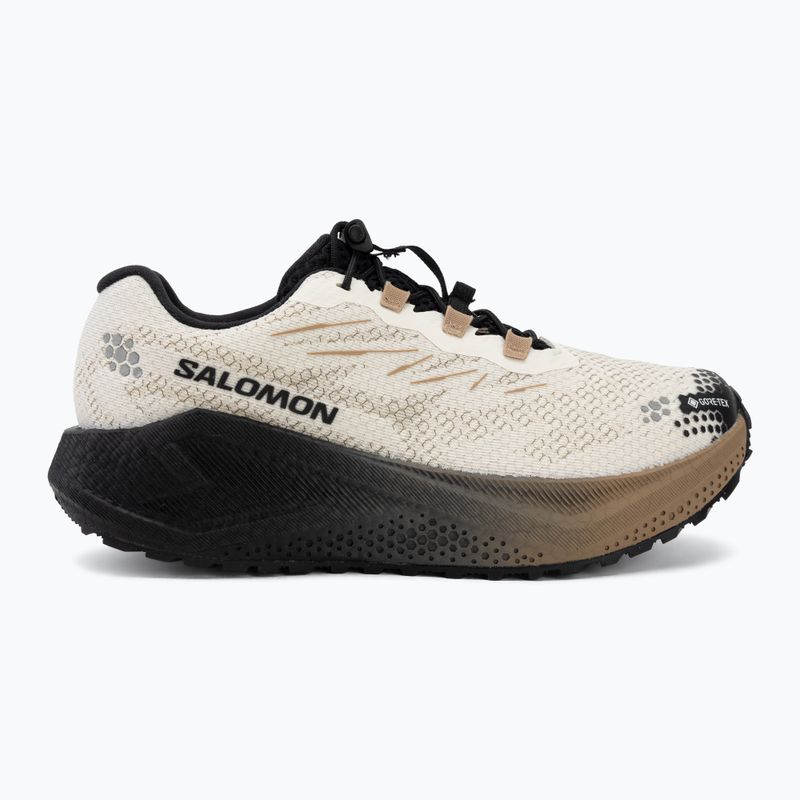 Moteriški bėgimo batai Salomon Aero Blaze 4 GRVL GTX vanilla ice/black 2
