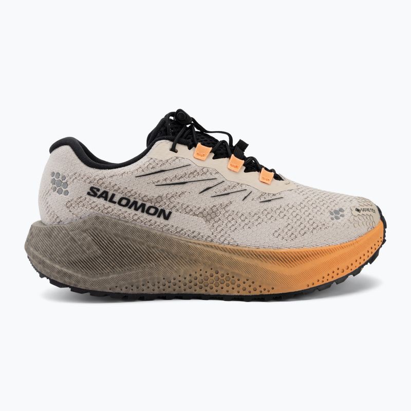 Moteriški bėgimo batai Salomon Aero Blaze 4 GRVL GTX rainy day/black 2
