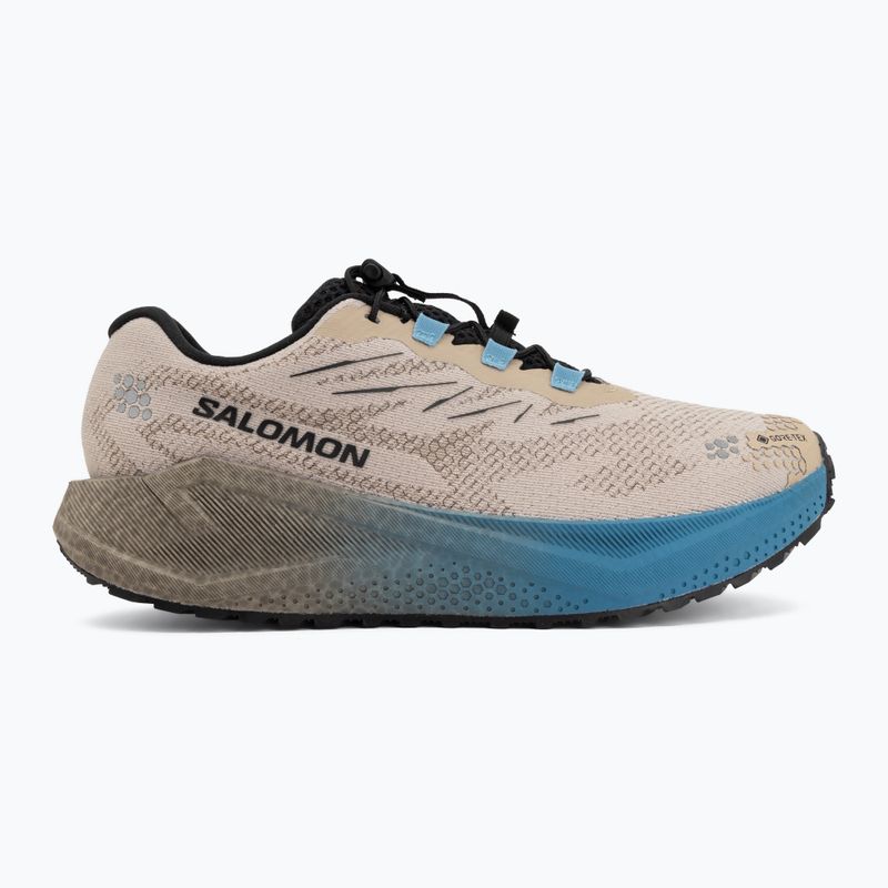 Vyriški bėgimo batai Salomon Aero Blaze 4 GRVL GTX oxford tan/black 2