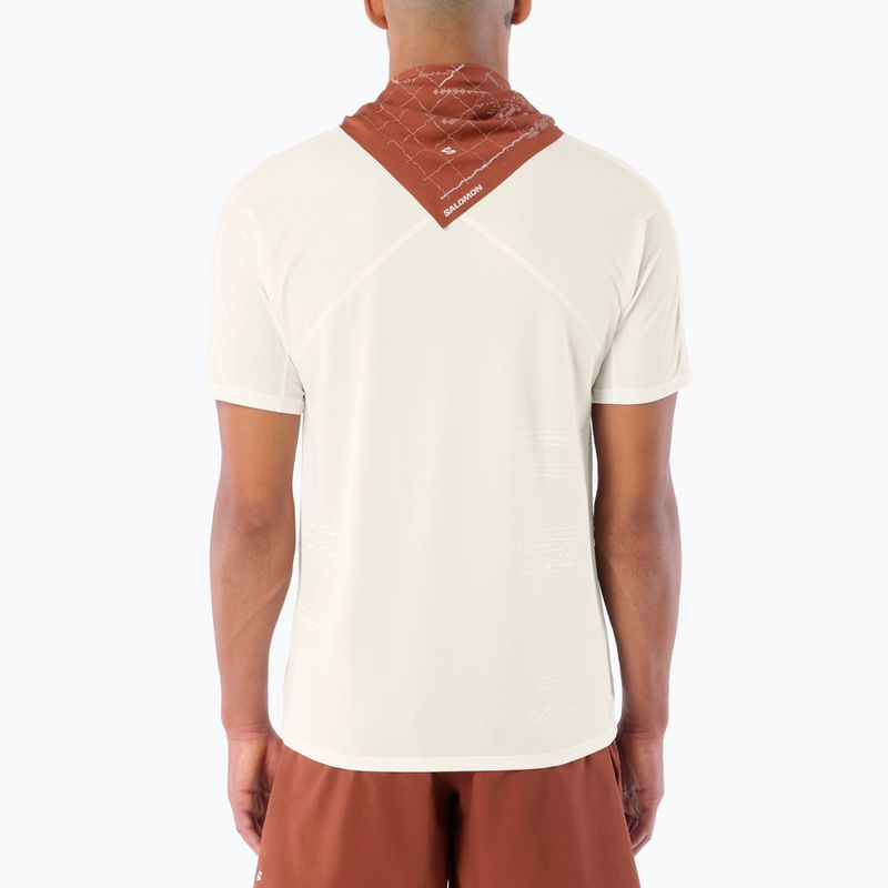 Vyriški bėgimo marškinėliai Salomon Sense Aero GFX Tee SS whisper white/raind day/bright white 2